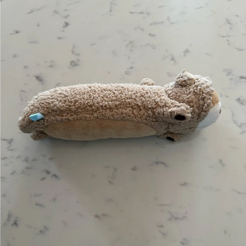 Morning Glory Pencil case